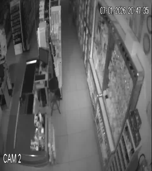 Caméra IP - Espagne