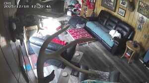 Caméra IP - États-Unis d'Amérique