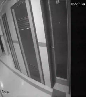 Caméra IP - United Arab Emirates