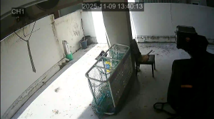 Caméra IP - Südkorea