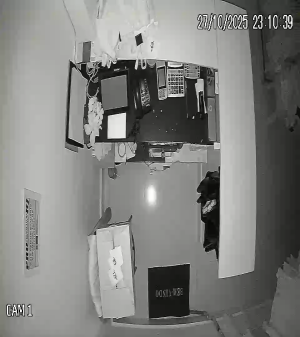 Caméra IP - Brasile