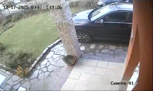 Caméra IP - Croacia