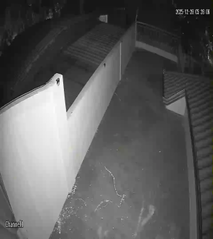 Caméra IP - Philippinen