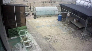 Caméra IP - South Korea