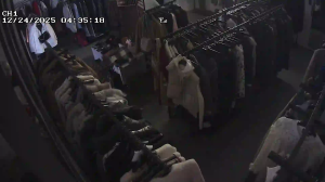 Caméra IP - South Korea