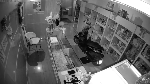 Caméra IP - Italien