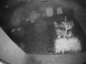 Caméra IP - Pays-Bas