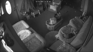 Caméra IP - United States of America