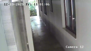 Caméra IP - Montenegro