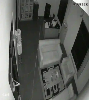 Caméra IP - Indonesien