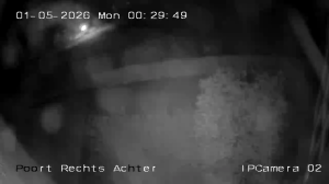 Caméra IP - Netherlands