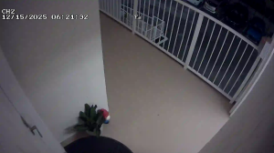 Caméra IP - United States of America