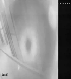 Caméra IP - Émirats Arabes Unis