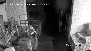 Caméra IP - United States of America