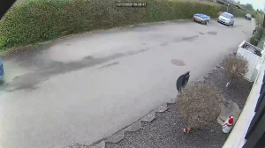 Caméra IP - Danimarca