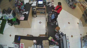 Caméra IP - Malaisie