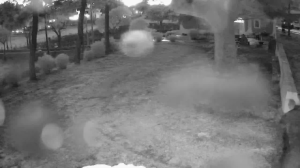 Caméra IP - Italien