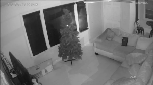 Caméra IP - Vereinigte Staaten von Amerika