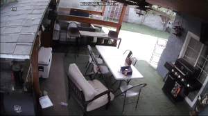 Caméra IP - United States of America