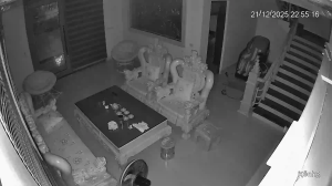 Caméra IP - Vietnam