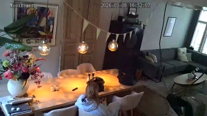 Caméra IP - Pays-Bas