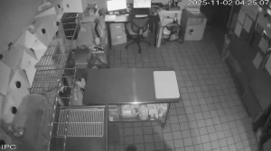 Caméra IP - Vereinigte Staaten von Amerika