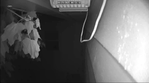 Caméra IP - Vereinigte Staaten von Amerika