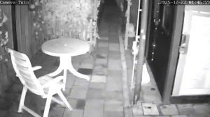 Caméra IP - Netherlands