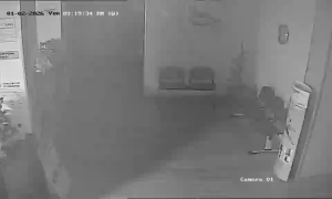 Caméra IP - Italien