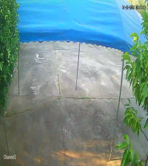 Caméra IP - Thaïlande