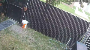 Caméra IP - Argentinien