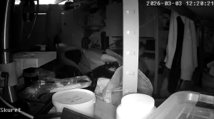 Caméra IP - Danimarca