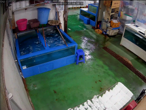 Caméra IP - South Korea