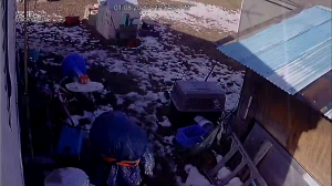 Caméra IP - United States of America