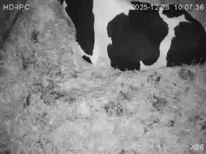 Caméra IP - Ireland