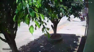 Caméra IP - Paraguay