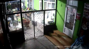 Caméra IP - Géorgie