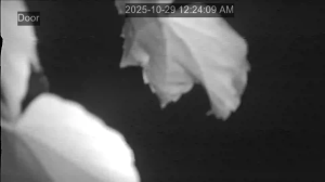 Caméra IP - South Korea