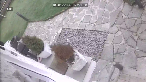 Caméra IP - Reino Unido