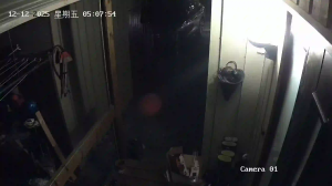 Caméra IP - Noruega