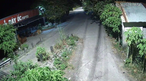 Caméra IP - Vietnam