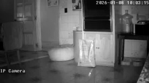 Caméra IP - Argentine