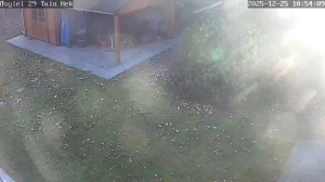 Caméra IP - Belgium