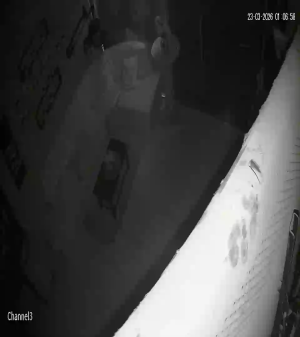 Caméra IP - Bolivien