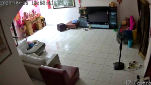 Caméra IP - Malaisie