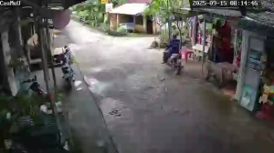 Caméra IP - Vietnam