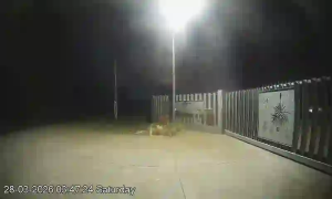 Caméra IP - Australia