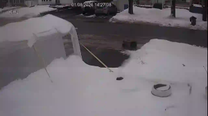 Caméra IP - Canadá