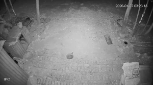 Caméra IP - Vietnam