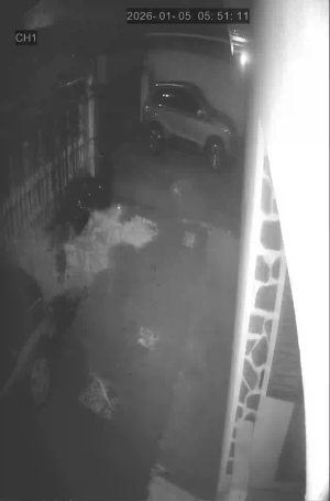 Caméra IP - St. Lucia